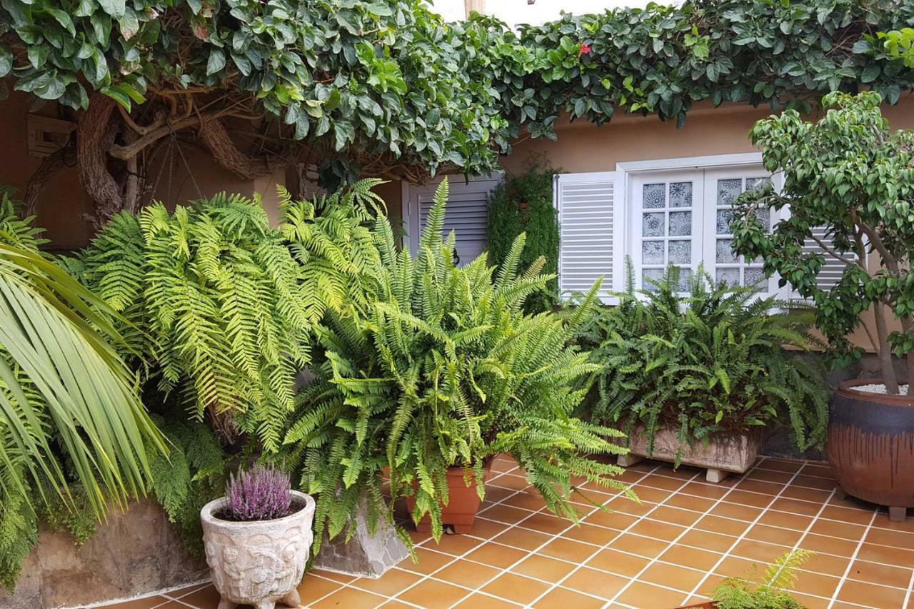 Orotava Garden House Perfect For Families Villa La Orotava Kültér fotó